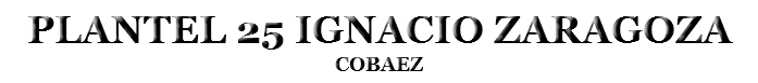PLANTEL 25 IGNACIO ZARAGOZA
COBAEZ